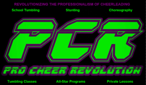 pro cheer banner 2